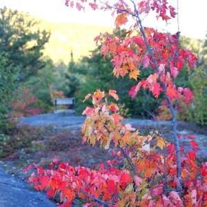 Meet your Posher, Vicki